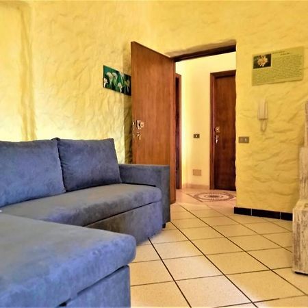 Ferienwohnung La Ginestra Càbras Exterior foto